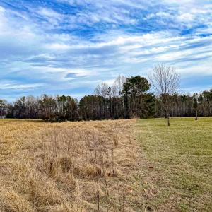 Photo #47 of 59 Taylor Farms Rd, Kenbridge, VA 8.7 acres