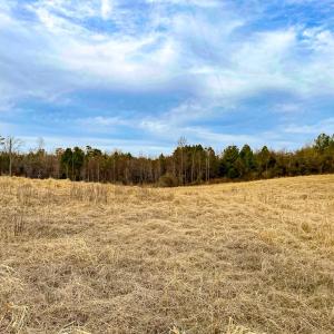 Photo #50 of 59 Taylor Farms Rd, Kenbridge, VA 8.7 acres