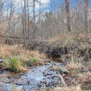 Photo #89 of 780 DRY BRIDGE RD, Farmville, VA 100.6 acres