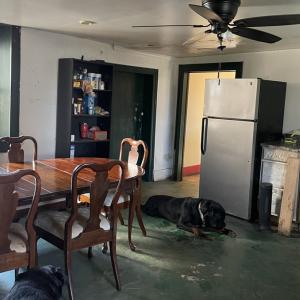 Photo #11 of 6750 Lunenburg County Rd, Keysville, VA 3.9 acres