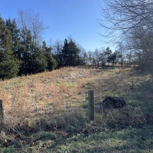 Photo #18 of 6750 Lunenburg County Rd, Keysville, VA 3.9 acres
