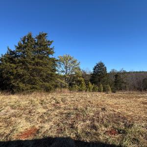 Photo #23 of 5532 Watt Abbitt Road, Appomattox, VA 26.7 acres