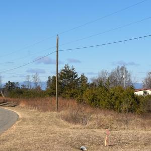 Photo #27 of 5532 Watt Abbitt Road, Appomattox, VA 26.7 acres
