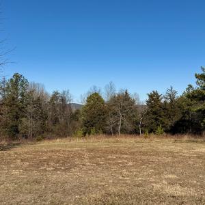 Photo #19 of 5532 Watt Abbitt Road, Appomattox, VA 26.7 acres