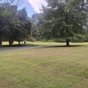 Photo #31 of 76 Old Curdsville Rd, Farmville, VA 3.7 acres