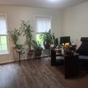 Photo #11 of 76 Old Curdsville Rd, Farmville, VA 3.7 acres