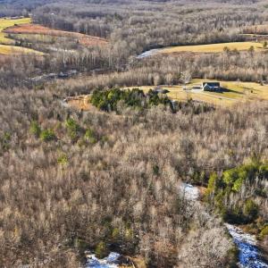 Photo #15 of 174 Mottley Mill Road, Cumberland, VA 40.5 acres