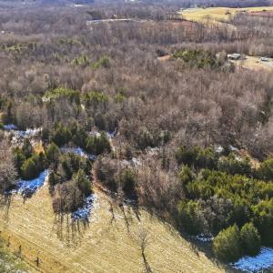 Photo #8 of 174 Mottley Mill Road, Cumberland, VA 40.5 acres