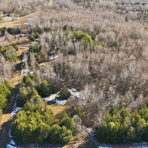 Photo #9 of 174 Mottley Mill Road, Cumberland, VA 40.5 acres