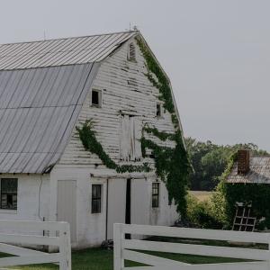 Barn