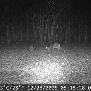 Photo #40 of 6840 Lunenburg County Road, Keysville, VA 45.2 acres