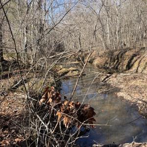 Photo #41 of 6840 Lunenburg County Road, Keysville, VA 45.2 acres