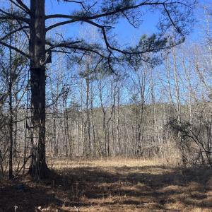 Photo #43 of 6840 Lunenburg County Road, Keysville, VA 45.2 acres
