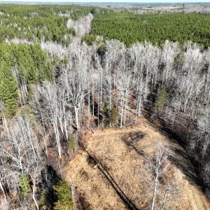 Photo #10 of 6840 Lunenburg County Road, Keysville, VA 45.2 acres