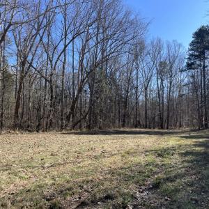 Photo #44 of 6840 Lunenburg County Road, Keysville, VA 45.2 acres