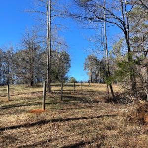 Photo #47 of 6840 Lunenburg County Road, Keysville, VA 45.2 acres