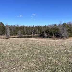Photo #49 of 6840 Lunenburg County Road, Keysville, VA 45.2 acres