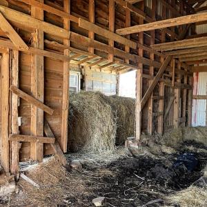 Photo #51 of 6840 Lunenburg County Road, Keysville, VA 45.2 acres