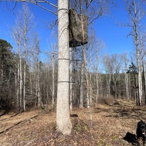 Photo #39 of 6840 Lunenburg County Road, Keysville, VA 45.2 acres