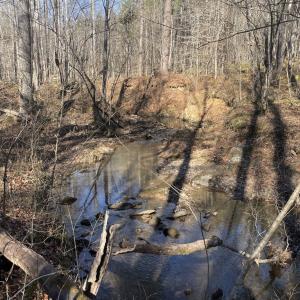 Photo #43 of 6840 Lunenburg County Road, Keysville, VA 45.2 acres