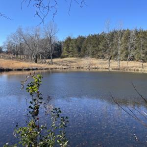 Photo #48 of 6840 Lunenburg County Road, Keysville, VA 45.2 acres