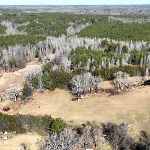 Photo #7 of 6840 Lunenburg County Road, Keysville, VA 45.2 acres