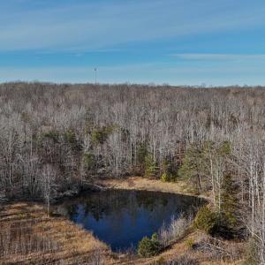 Photo #12 of 3370 Stagecoach, Farmville, VA 20.0 acres