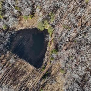 Photo #9 of 3370 Stagecoach, Farmville, VA 20.0 acres