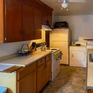 Photo #3 of 3055 Fletcher Chapel Rd, Kenbridge, VA 1.0 acres