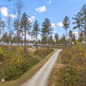 Photo #7 of 5388 Anderson Highway, Powhatan, VA 10.0 acres