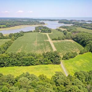 Photo #3 of 31181 DRUMMONDTOWN RD, WACHAPREAGUE, VA 96.3 acres