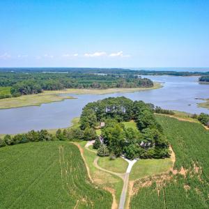 Photo #4 of 31181 DRUMMONDTOWN RD, WACHAPREAGUE, VA 96.3 acres