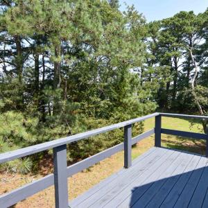 Photo #40 of 31181 DRUMMONDTOWN RD, WACHAPREAGUE, VA 96.3 acres
