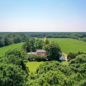 Photo #7 of 31181 DRUMMONDTOWN RD, WACHAPREAGUE, VA 96.3 acres