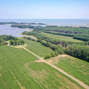 Photo #8 of 31181 DRUMMONDTOWN RD, WACHAPREAGUE, VA 96.3 acres