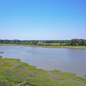 Photo #9 of 31181 DRUMMONDTOWN RD, WACHAPREAGUE, VA 96.3 acres
