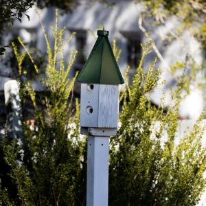 Photo #71 of 713 First Avenue, Farmville, VA 0.2 acres