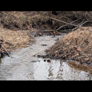 Photo #11 of 290 White Street, Drakes Branch, VA 26.1 acres