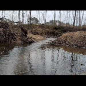 Photo #12 of 290 White Street, Drakes Branch, VA 26.1 acres