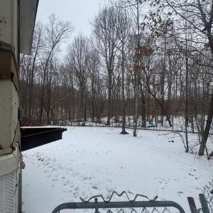 Photo #10 of 269, 213 Snail Creek Rd, Green Bay, VA 5.8 acres