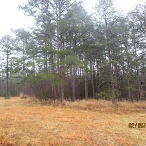 Photo #2 of 1268 crymes, Keysville, VA 11.7 acres