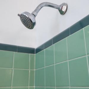 Photo #15 of 4996 Farmville Rd., Farmville, VA 2.4 acres