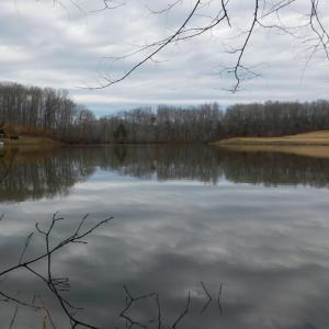 Photo #32 of 144 Lake Pointe Ct, Pamplin, VA 2.0 acres