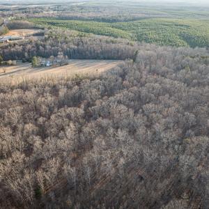 Photo #4 of 25805 N James Madison Hwy, New Canton, VA 57.1 acres