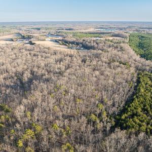 Photo #6 of 25805 N James Madison Hwy, New Canton, VA 57.1 acres