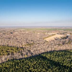 Photo #10 of 25805 N James Madison Hwy, New Canton, VA 57.1 acres