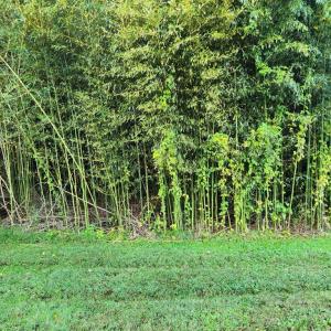 Photo #38 of 643 River Bottom Lane, Concord, VA 15.0 acres