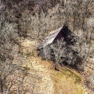 Photo #15 of 643 River Bottom Lane, Concord, VA 15.0 acres