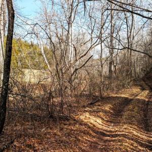 Photo #21 of 643 River Bottom Lane, Concord, VA 15.0 acres