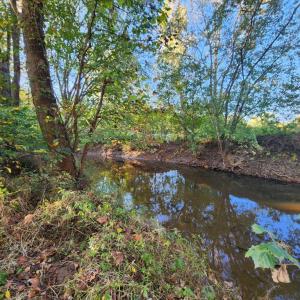 Photo #43 of 643 River Bottom Lane, Concord, VA 15.0 acres